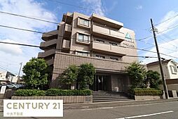 サーパス上足洗 平置き駐車場が嬉しいマンションです