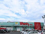 ドラッグストア（ウオンツ観音店まで1145m）