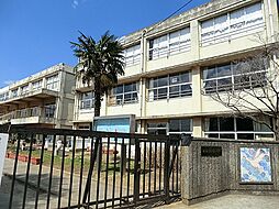 [周辺] 松戸市立常盤平第二小学校まで500ｍ