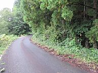 福島県いわき市好間町大利：物件画像