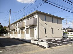 ｃ.セミカ