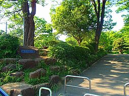 [周辺] 鶴川中央公園まで667m