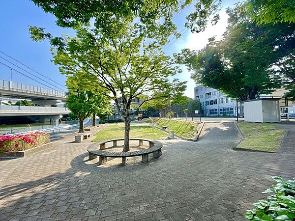 周辺を拡大表示