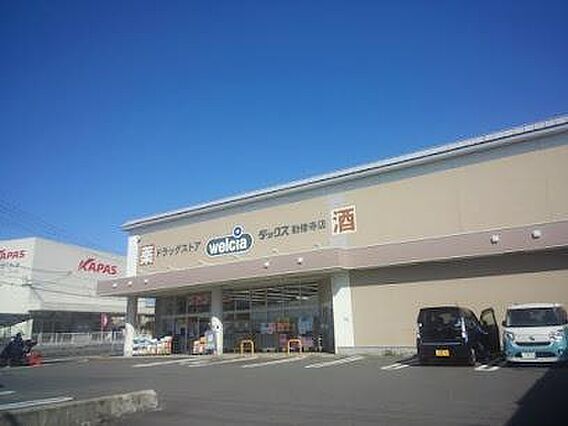 ウエルシアダッ...