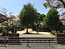 周辺：三条大宮公園まで855m