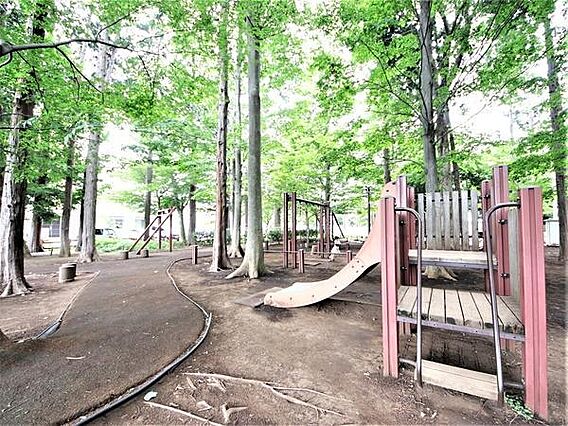 宇都宮記念公園...