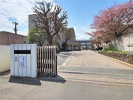 厚木市立藤塚中学校まで688m