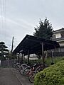 現地を見学され...