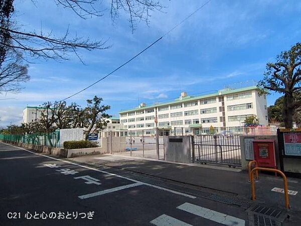 周辺を拡大表示