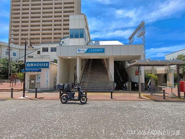 その他を拡大表示
