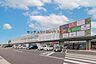 周辺：かましん うつのみや市場店まで767m