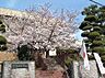 周辺：葛城市立當麻小学校まで1203m