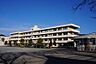 周辺：秦野市立大根中学校まで1174m