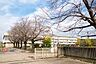 周辺：守谷市立愛宕中学校まで1184m
