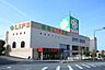 周辺：ライフ増尾店まで1300m