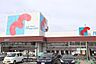 周辺：万代新森店まで412m