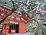 周辺：荏柄天神まで1683m