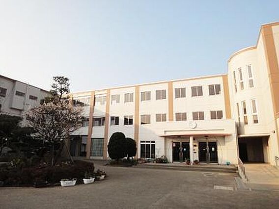 柳島小学校まで...
