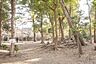 周辺：松が丘緑地まで659m