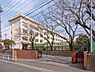 周辺：新林小学校まで873m