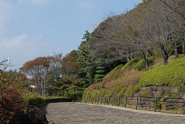 周辺を拡大表示