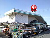 コメリハード＆グリーン中主店まで287m