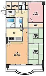 シャルマンコーポ野洲 3LDKの間取り