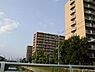 その他：マンション周辺は緑が多く静かな住宅地です♪