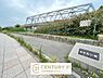 周辺：島屋南公園まで365m