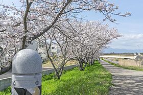 ビエノス欲賀  ｜ 滋賀県守山市欲賀町（賃貸アパート3LDK・1階・91.67㎡） その14