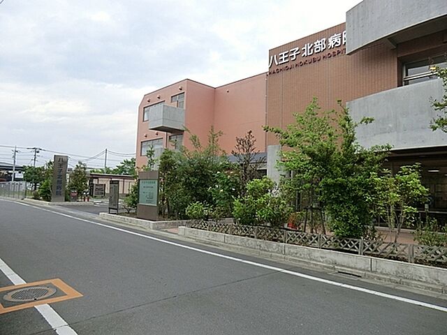 周辺 八王子市川口町