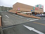 エコス東浅川店まで1905m