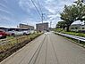 その他：2026年7月31日撮影