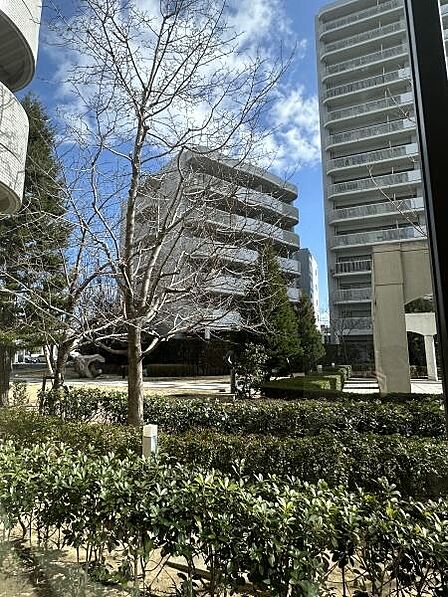 緑豊かな環境に静かに佇む、風格ある外観