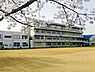 周辺：新潟市立亀田東小学校まで572m