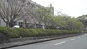 橿原市立白橿中学校まで922m