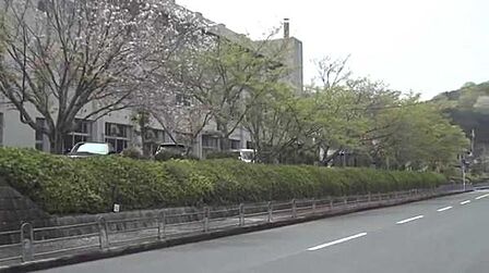 橿原市立白橿中学校まで750m