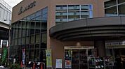 JA大阪市平野支店まで492m