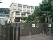 横浜市立三ツ沢小学校まで898m