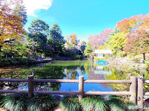 渋谷区立鍋島松...
