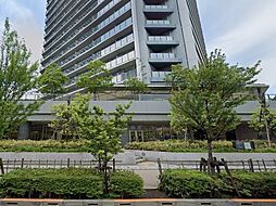 小学館アカデミー ベイシティ晴海保育園まで1293m