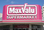 マックスバリュ幸田店まで2800m