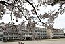 周辺：岡崎市立葵中学校まで1600m