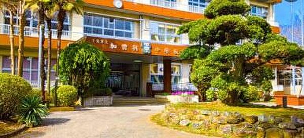 周辺を拡大表示