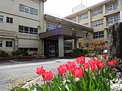 千葉市立大宮中学校まで400m