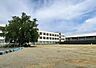 周辺：豊橋市立下地小学校まで910m、豊橋市立下地小学校