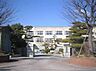 周辺：豊橋市立東田小学校まで1194m、豊橋市立東田小学校