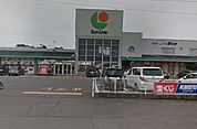 マルショク判田店まで4430m