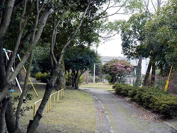 周辺を拡大表示