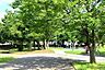 周辺：蔵波公園まで563m